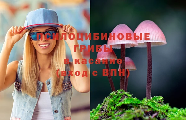 гидра Баксан