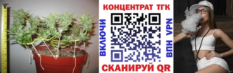 Дистиллят ТГК THC oil  Купить закладки  Сердобск 